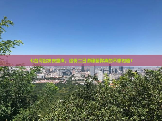 七台河去重庆二日游