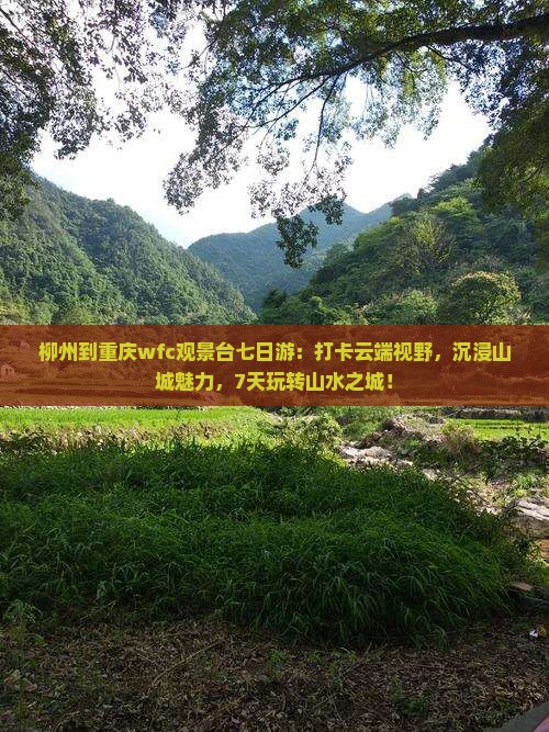柳州到重庆wfc观景台七日游
