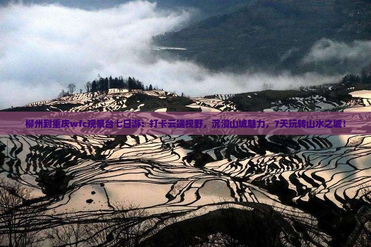 柳州到重庆wfc观景台七日游