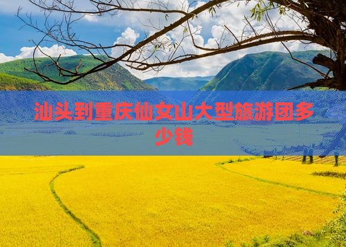 汕头到重庆仙女山大型旅游团
