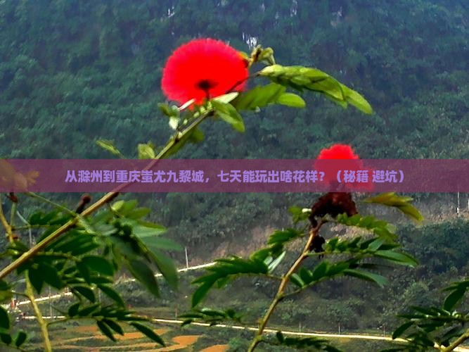 滁州去重庆蚩尤九黎城七日游