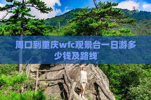 周口到重庆wfc观景台一日