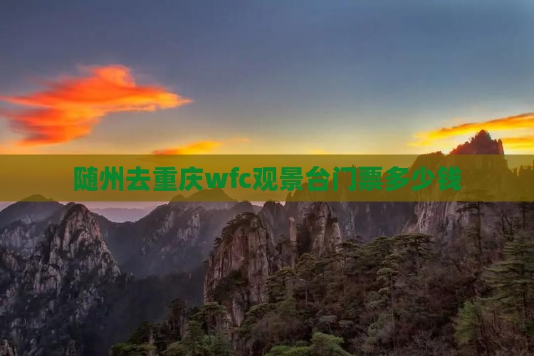 随州去重庆wfc观景台门票
