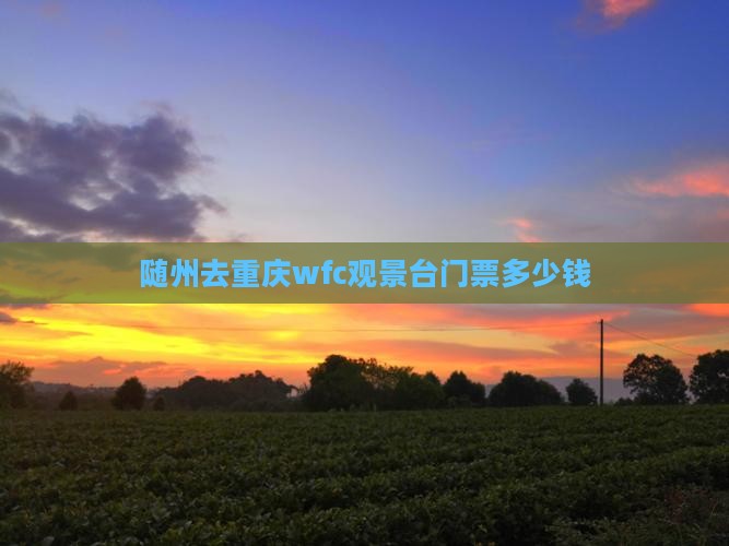 随州去重庆wfc观景台门票