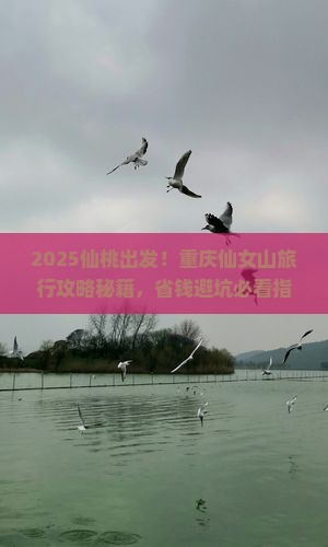 仙桃到重庆仙女山旅行社
