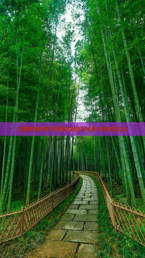 沈阳到重庆李子坝轻轨站旅行社