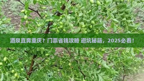 酒泉去重庆门票
