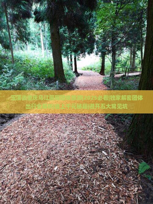 玉溪去重庆乌江画廊团体旅游