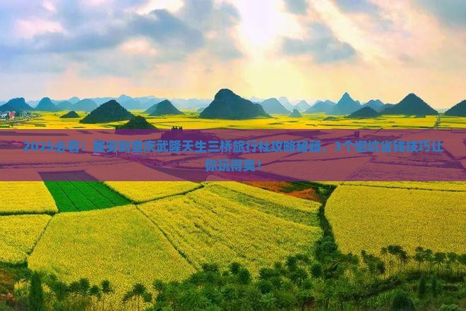 雅安到重庆武隆天生三桥旅行社