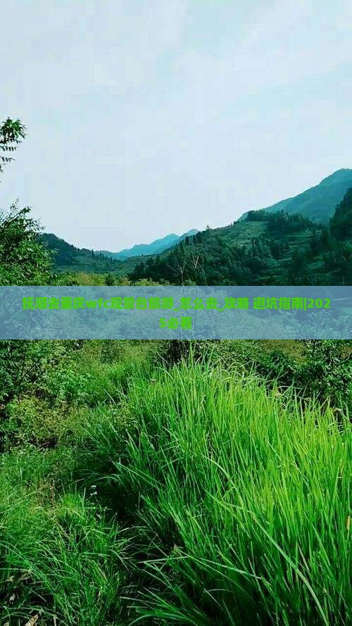 抚顺去重庆wfc观景台旅游
