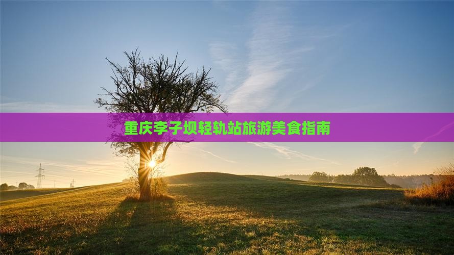 清远去重庆李子坝轻轨站旅游小吃