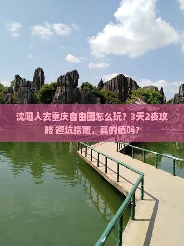沈阳去重庆自由团