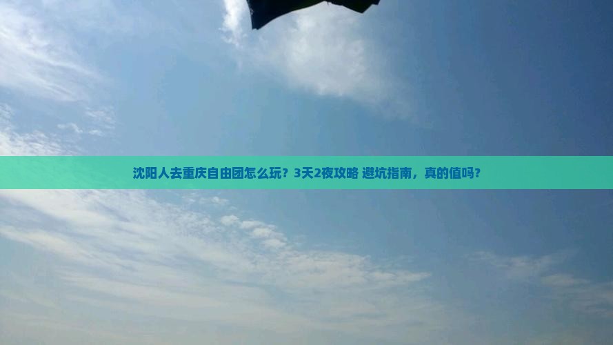 沈阳去重庆自由团