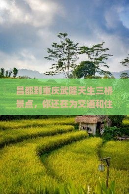 昌都到重庆武隆天生三桥景点