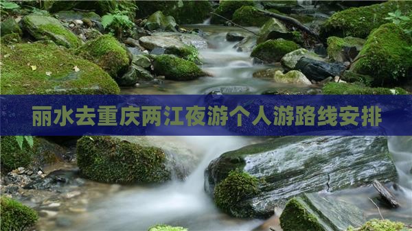 丽水去重庆两江夜游个人游