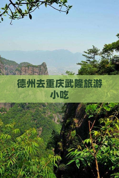 德州去重庆武隆旅游小吃