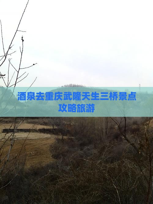 酒泉去重庆武隆天生三桥景点