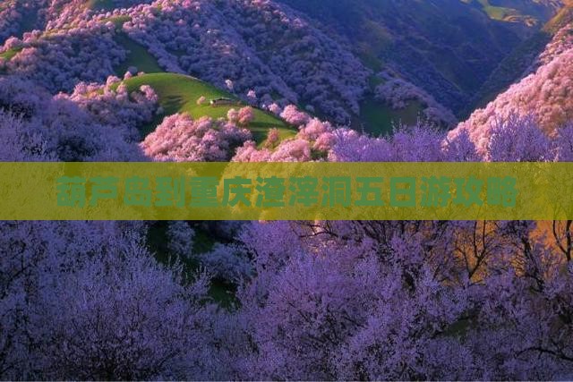 葫芦岛到重庆渣滓洞五日游