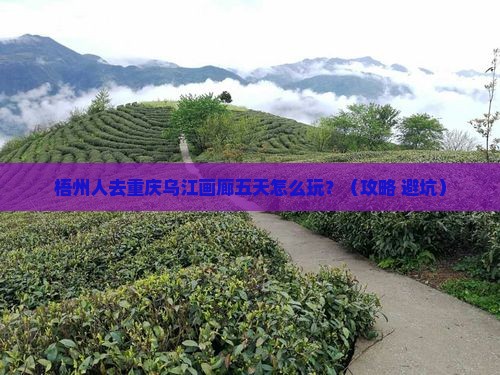梧州去重庆乌江画廊五日游