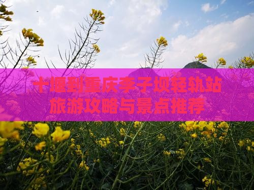 十堰去重庆李子坝轻轨站景点