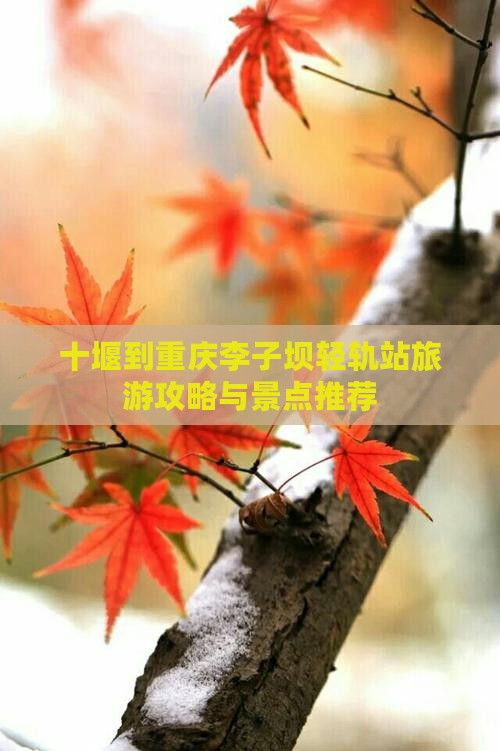 十堰去重庆李子坝轻轨站景点