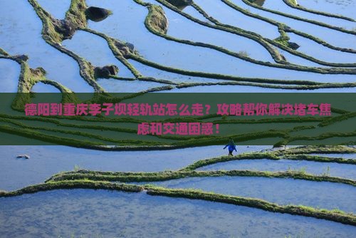 德阳到重庆李子坝轻轨站攻略