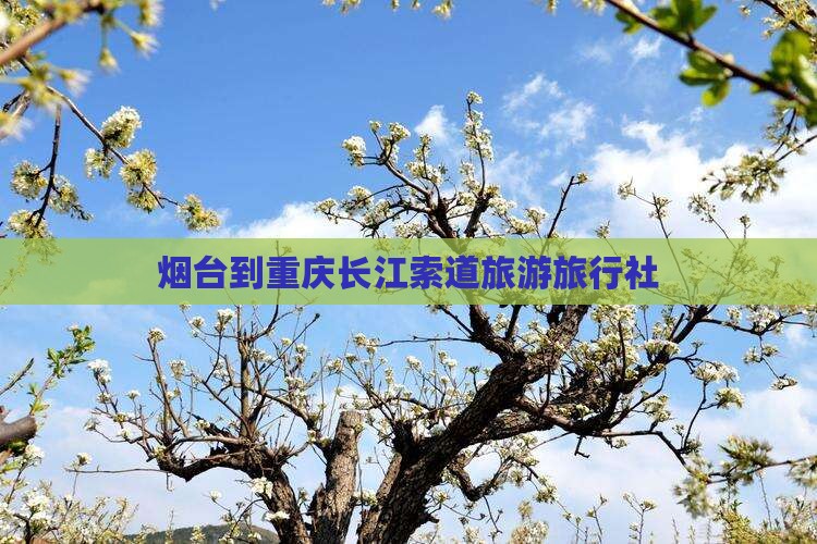 烟台去重庆长江索道旅行社