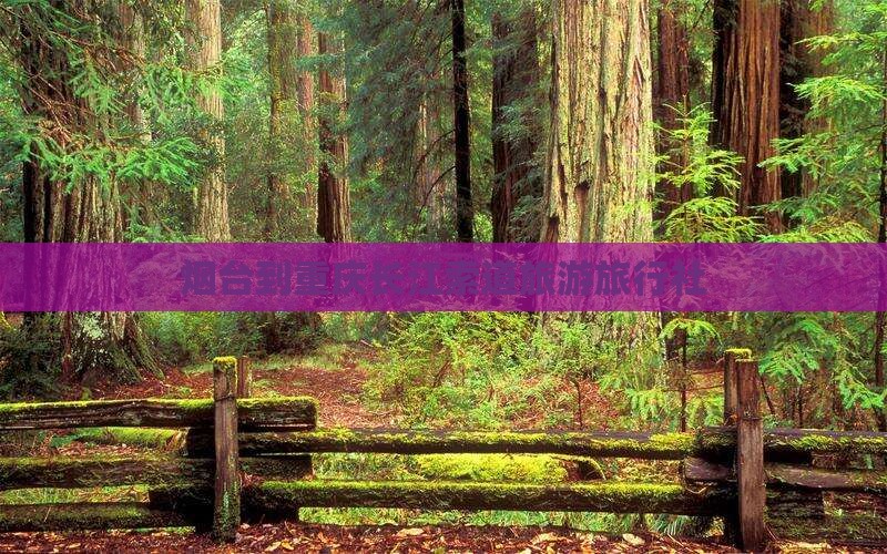 烟台去重庆长江索道旅行社