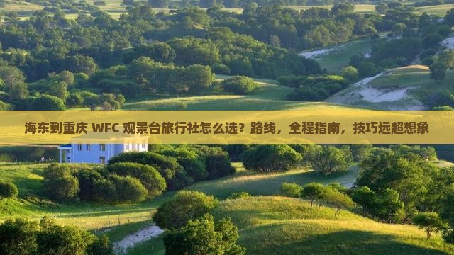 海东到重庆wfc观景台旅行社