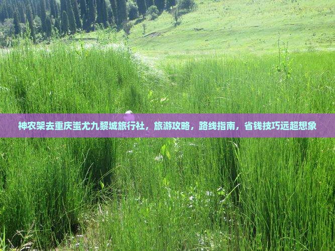 神农架去重庆蚩尤九黎城旅行社