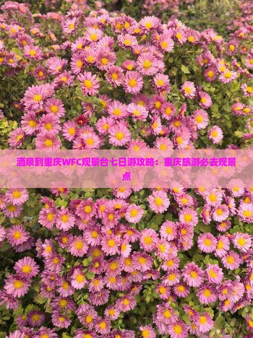 酒泉去重庆wfc观景台七日游