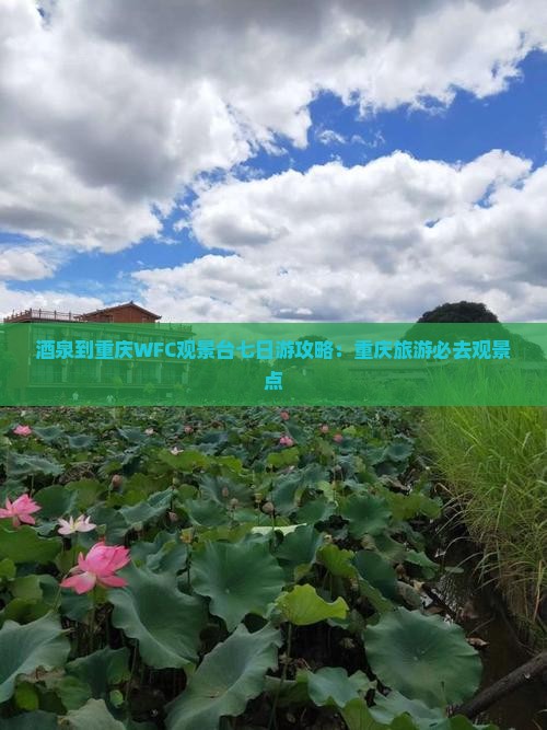 酒泉去重庆wfc观景台七日游