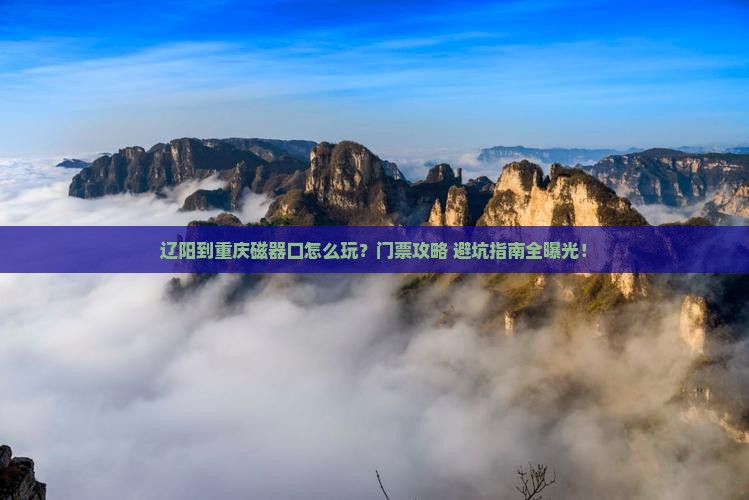 辽阳到重庆磁器口门票