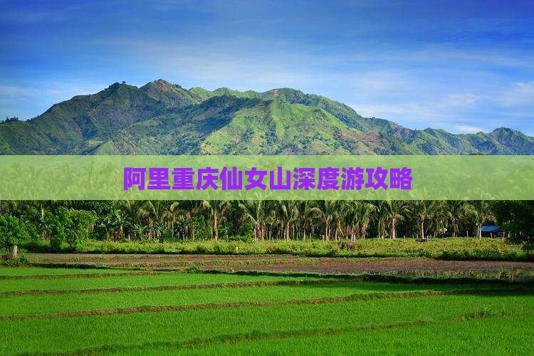 阿里去重庆仙女山攻略