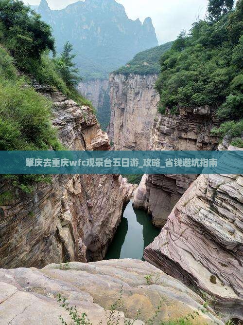 肇庆去重庆wfc观景台五日游