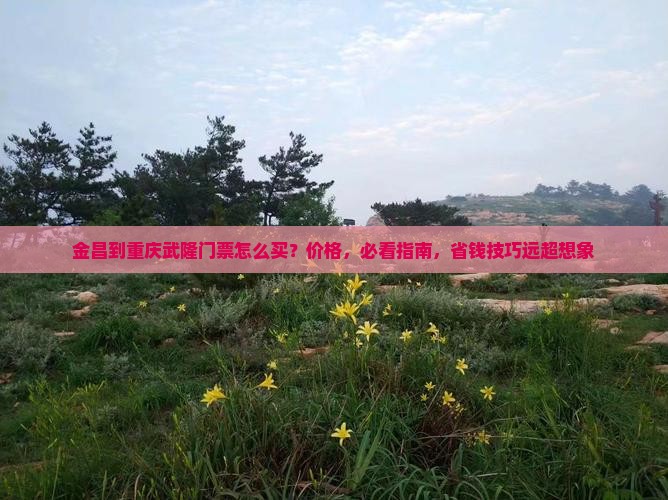 金昌到重庆武隆门票