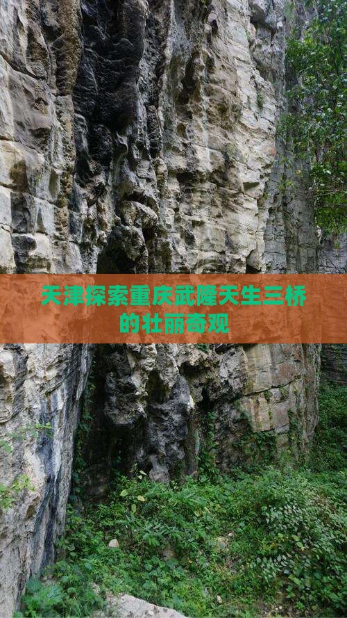 天津去重庆武隆天生三桥旅游