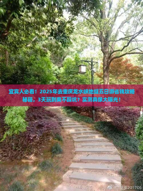 宜宾去重庆龙水峡地缝五日游