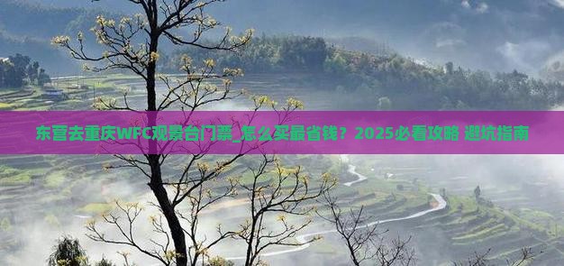 东营去重庆wfc观景台门票