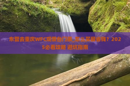 东营去重庆wfc观景台门票