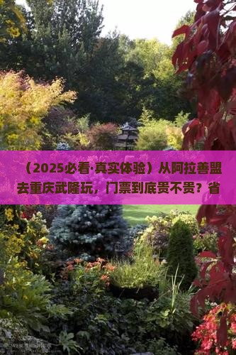 阿拉善盟到重庆武隆门票