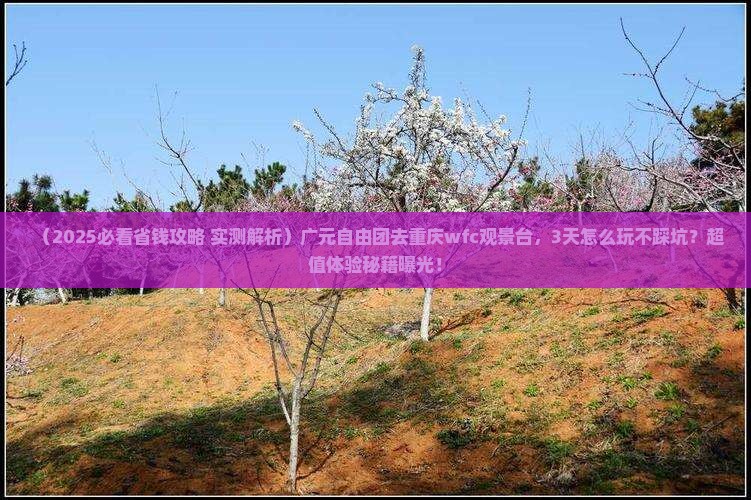 广元到重庆wfc观景台自由团