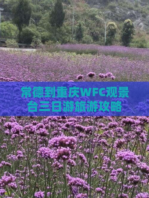 常德去重庆wfc观景台三日游 常德去重庆wfc观景台三日游
