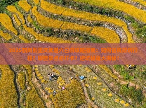 鹤岗到重庆武隆六日游