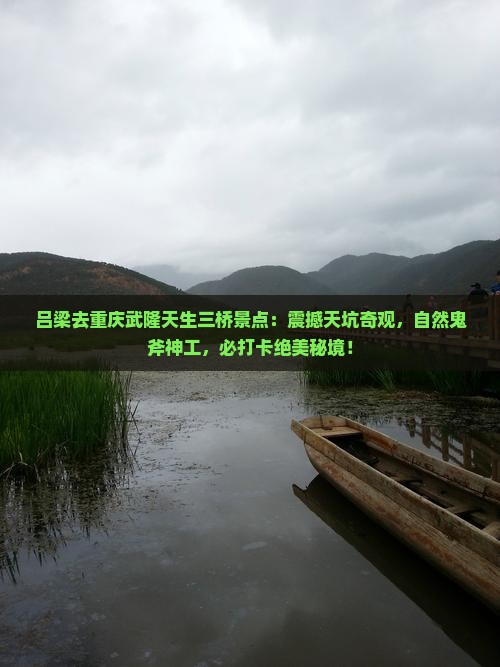 吕梁去重庆武隆天生三桥景点