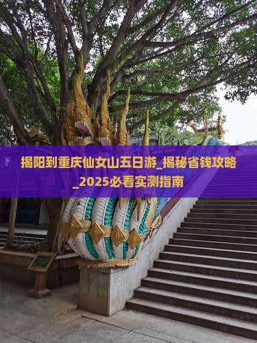 揭阳到重庆仙女山五日游