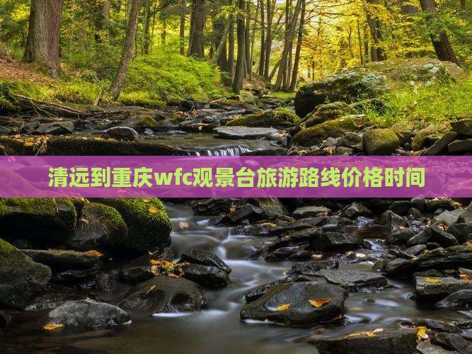 清远到重庆wfc观景台旅游