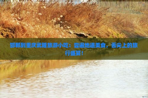 邯郸到重庆武隆旅游小吃