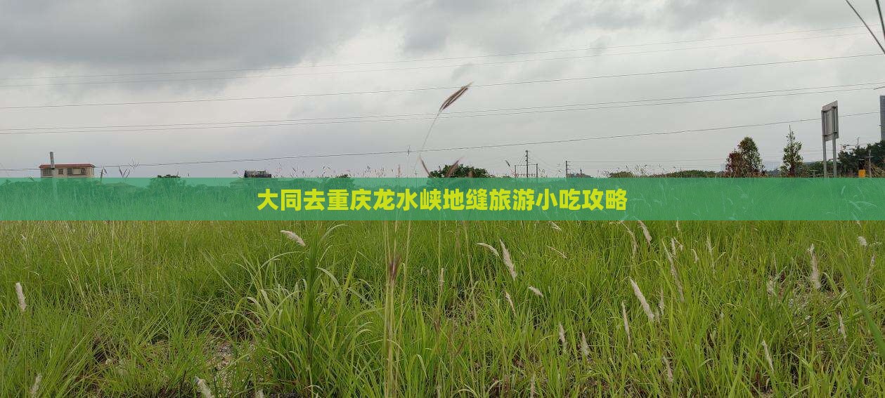 大同去重庆龙水峡地缝旅游小吃