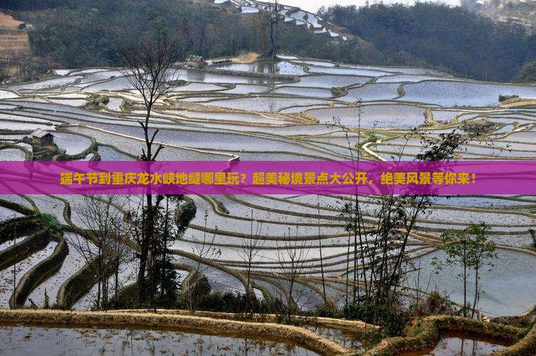 端午节到重庆龙水峡地缝哪里玩